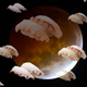 Illustration for article titled These pictures of sushi floating in space are truly awesome